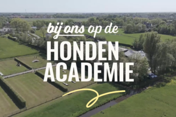 Vergezicht foto van academie met titel van de docuserie