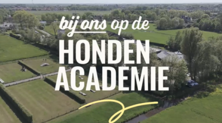 Vergezicht foto van academie met titel van de docuserie