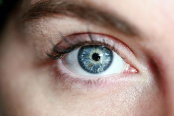 Een groot oog