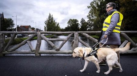 Vrouw met assistentiehond loopt over een brug