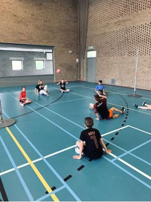 Aangepast sporten zitvolleybal