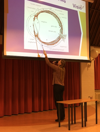 Presentatie door Visio, afbeelding van het oog