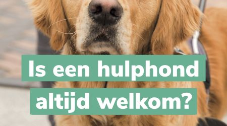 Campagne KNGF Een hulphond is welkom!